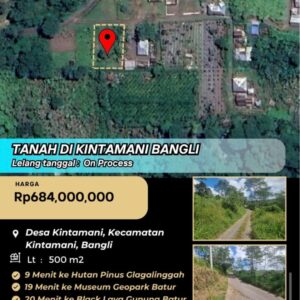 Tanah di Kintamani Bangli